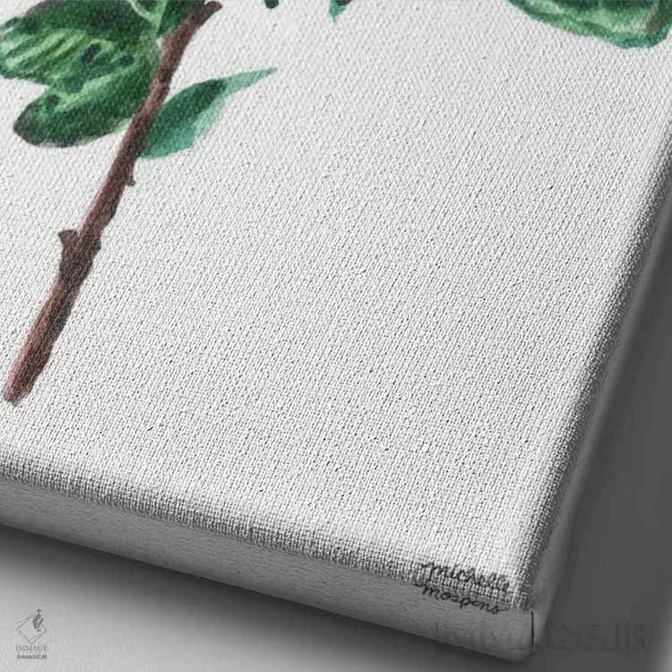 تابلو دکوراتیو گل رز سفید آبرنگ اثر میشل موسپنس - نمای نزدیک بافت بوم