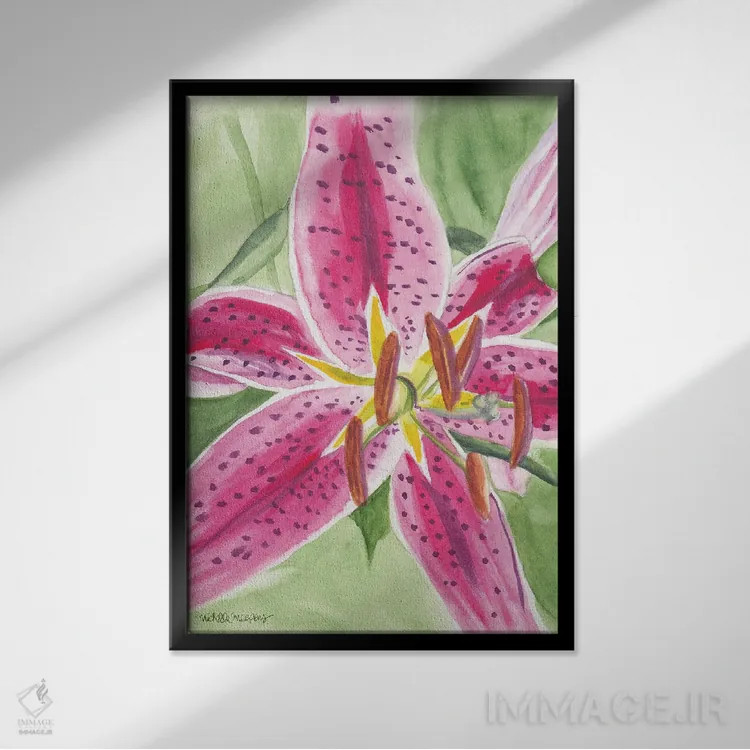 تابلو دکوراتیو لیلی استارگیزر اول آبرنگ اثر میشل موسپنس - نمای قابدار مشکی