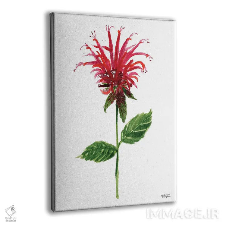 تابلو دکوراتیو گل بابی قرمز آبرنگ اثر میشل موسپنس - نمای پرسپکتیو محصول