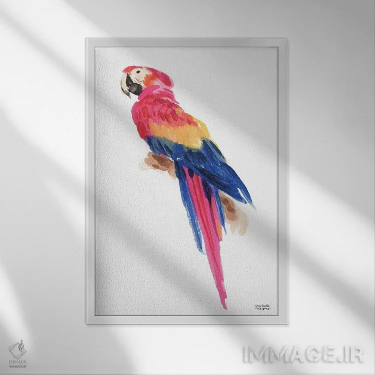 تابلو دکوراتیو طوطی استوایی آبرنگ اثر میشل موسپنس - نمای قابدار سفید