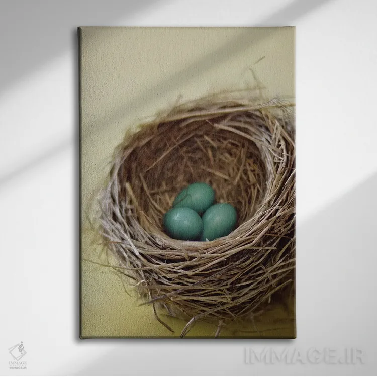 تابلو دکوراتیو لانه اثر مندی لین - نمای روبهرو روی دیوار