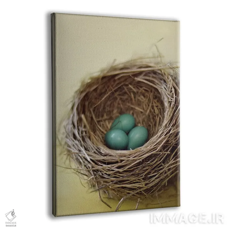 تابلو دکوراتیو لانه اثر مندی لین - نمای پرسپکتیو محصول