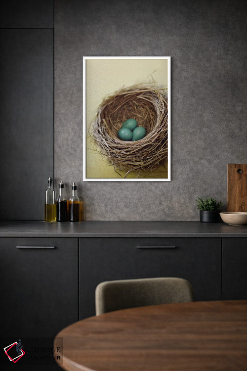 تابلو دکوراتیو لانه اثر مندی لین - D1W