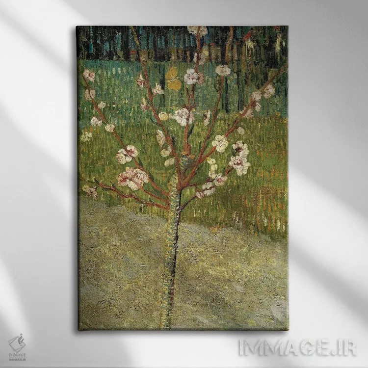 تابلو کلاسیک درخت بادام در گل، ۱۸۸۸ اثر ونسان ون گوگ - نمای روبهرو روی دیوار
