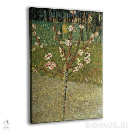 تابلو کلاسیک درخت بادام در گل، ۱۸۸۸ اثر ونسان ون گوگ - نمای پرسپکتیو محصول