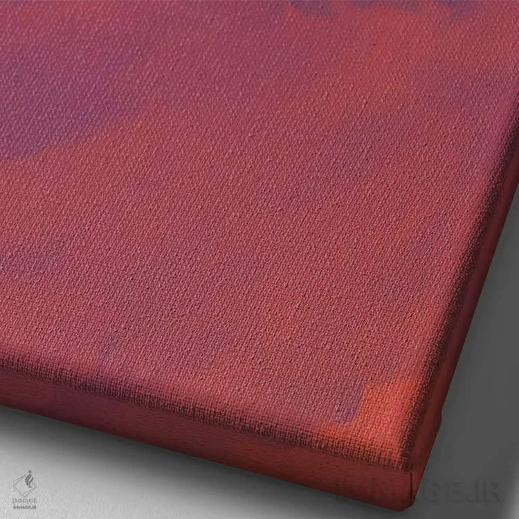 تابلو مینیمال هواپیما در آسمان شب اثر مورگان هارپر نیکولز - نمای نزدیک بافت بوم