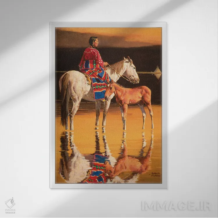 تابلو دکوراتیو "ردیاب لاکوتا" اثر دیوید من - نمای قابدار سفید