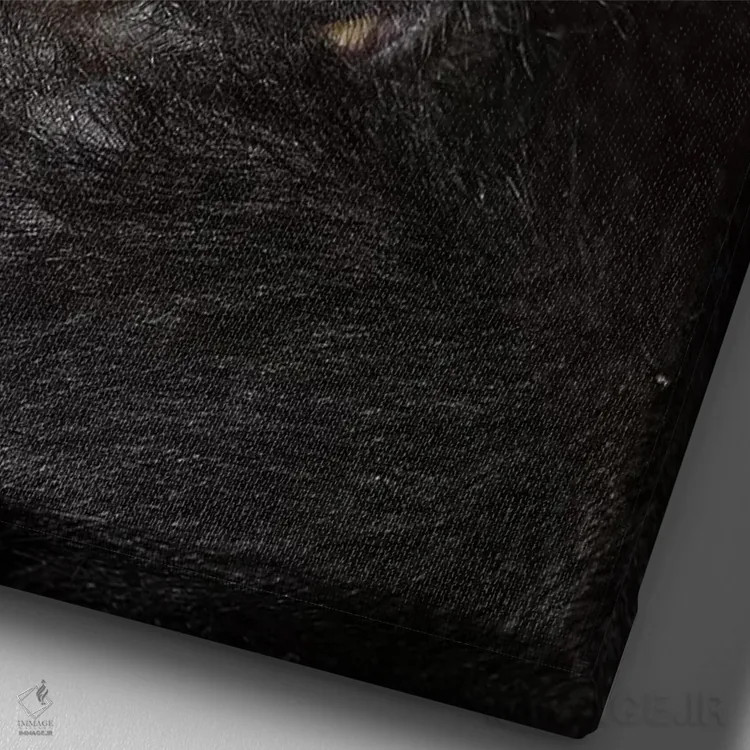 تابلو دکوراتیو ماکاک تاج دار سیاه آلفا کلوزآپ سولاوسی اثر موگنس تروله - نمای نزدیک بافت بوم