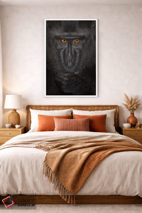 تابلو دکوراتیو ماکاک تاج دار سیاه آلفا کلوزآپ سولاوسی اثر موگنس تروله - D4W