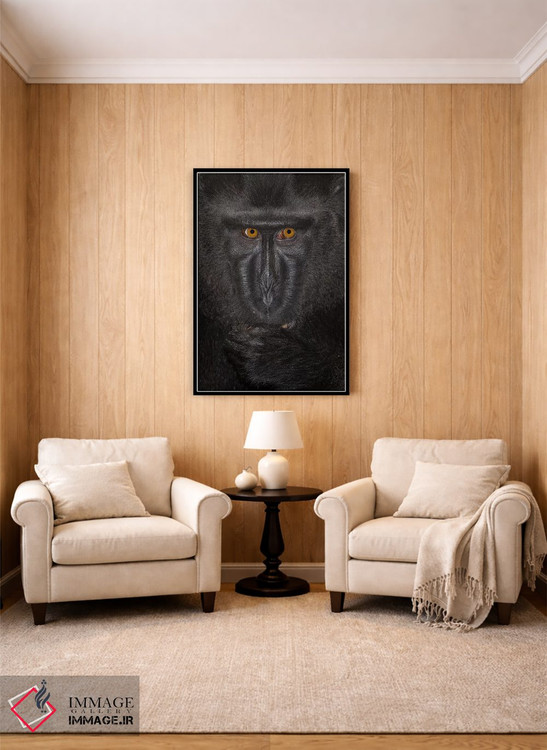 تابلو دکوراتیو ماکاک تاج دار سیاه آلفا کلوزآپ سولاوسی اثر موگنس تروله - D5B