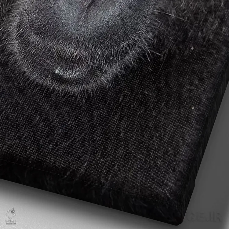 تابلو دکوراتیو تماس چشمی ماکاک تاج دار سیاه آلفا اثر موگنس تروله - نمای نزدیک بافت بوم