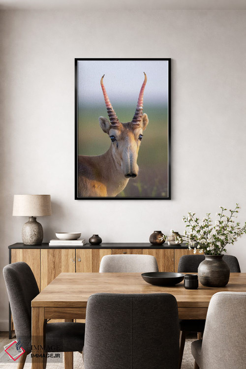 تابلو دکوراتیو سایگا نر جوان اثر موگنس تروله - D4B