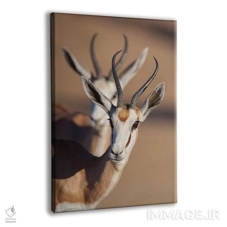 تابلو دکوراتیو همزمانی اسپرینگ باک اثر موگنس تروله - نمای پرسپکتیو محصول