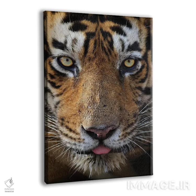 تابلو دکوراتیو تماس چشمی ببر اثر موگنس تروله - نمای پرسپکتیو محصول
