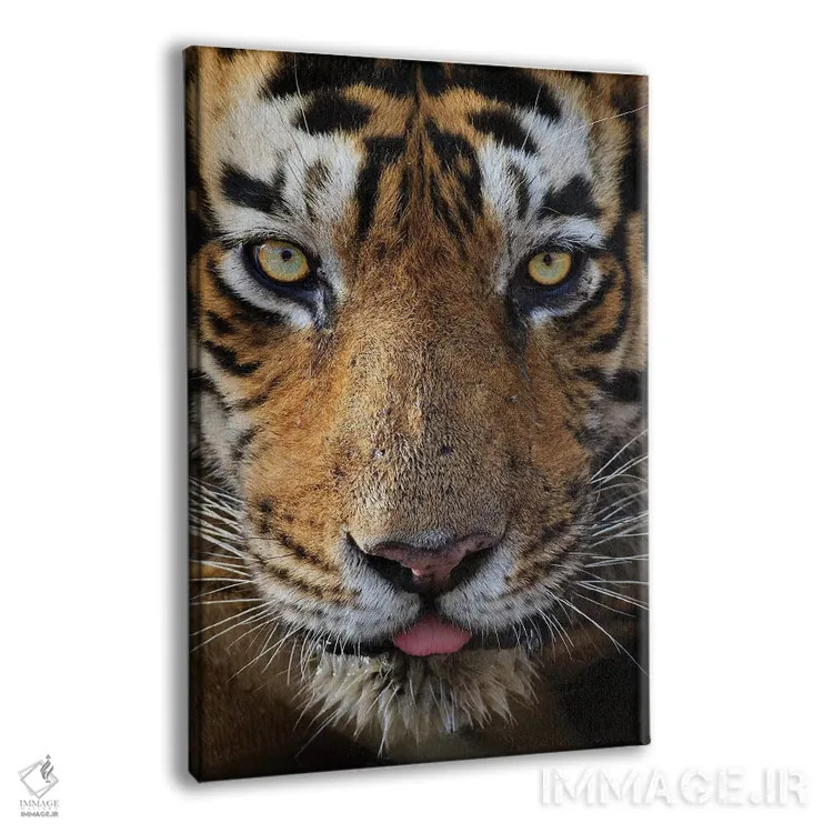 تابلو دکوراتیو تماس چشمی ببر اثر موگنس تروله - نمای پرسپکتیو محصول