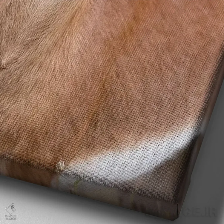 تابلو دکوراتیو استین باک اثر موگنس تروله - نمای نزدیک بافت بوم