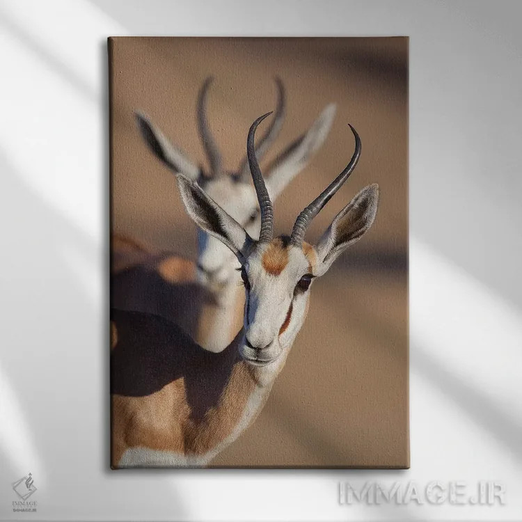 تابلو دکوراتیو همزمانی اسپرینگ باک اثر موگنس تروله - نمای روبهرو روی دیوار