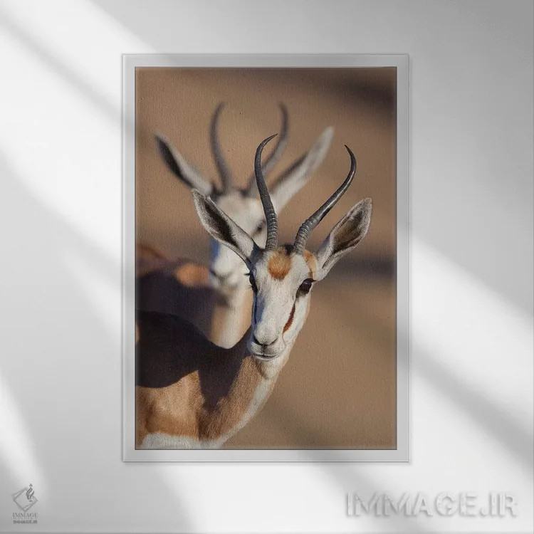 تابلو دکوراتیو همزمانی اسپرینگ باک اثر موگنس تروله - نمای قابدار سفید