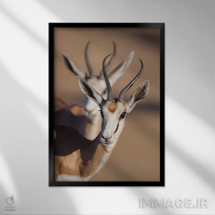 تابلو دکوراتیو همزمانی اسپرینگ باک اثر موگنس تروله - نمای قابدار مشکی