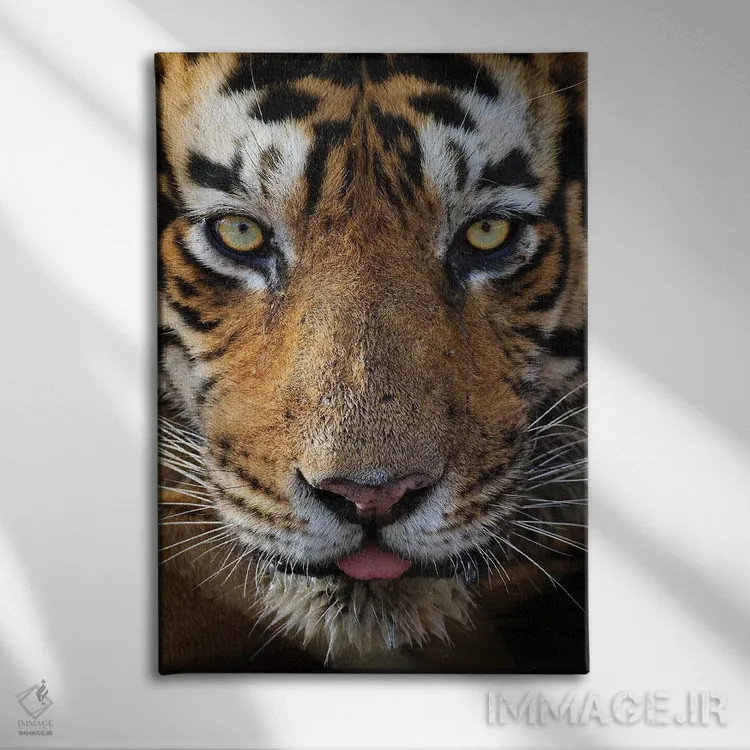 تابلو دکوراتیو تماس چشمی ببر اثر موگنس تروله - نمای روبهرو روی دیوار
