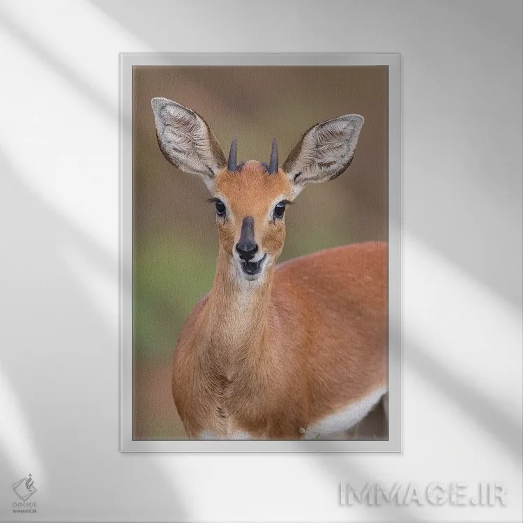 تابلو دکوراتیو استین باک اثر موگنس تروله - نمای قابدار سفید