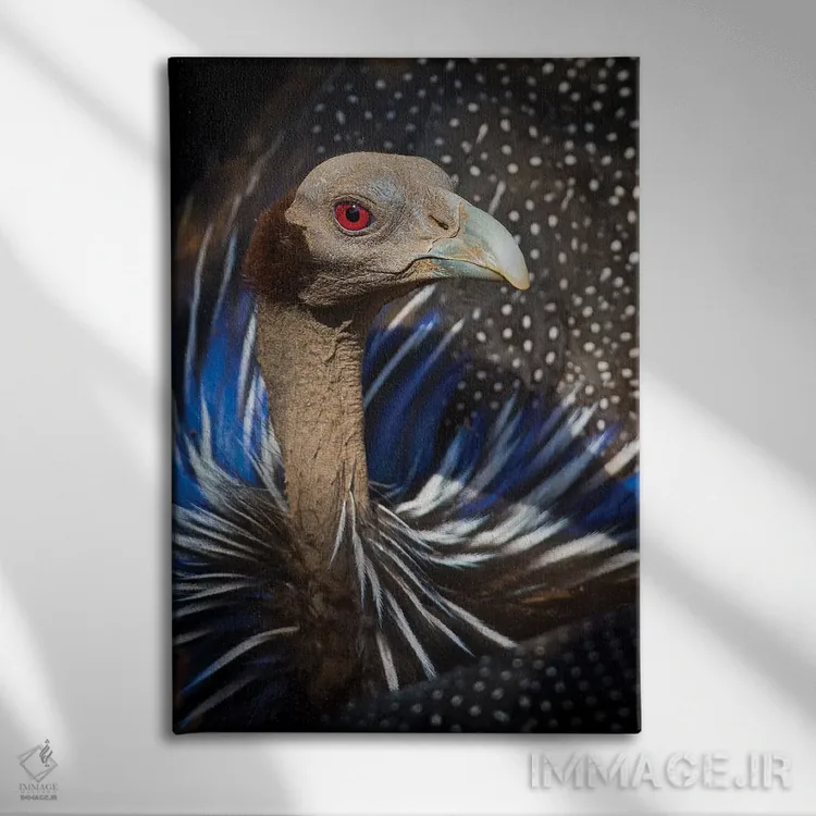 تابلو دکوراتیو مرغ مروارید کرکس نما اثر موگنس تروله - نمای روبهرو روی دیوار
