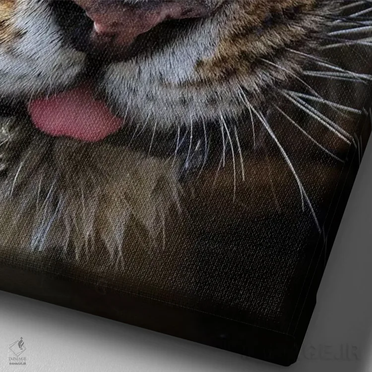 تابلو دکوراتیو تماس چشمی ببر اثر موگنس تروله - نمای نزدیک بافت بوم