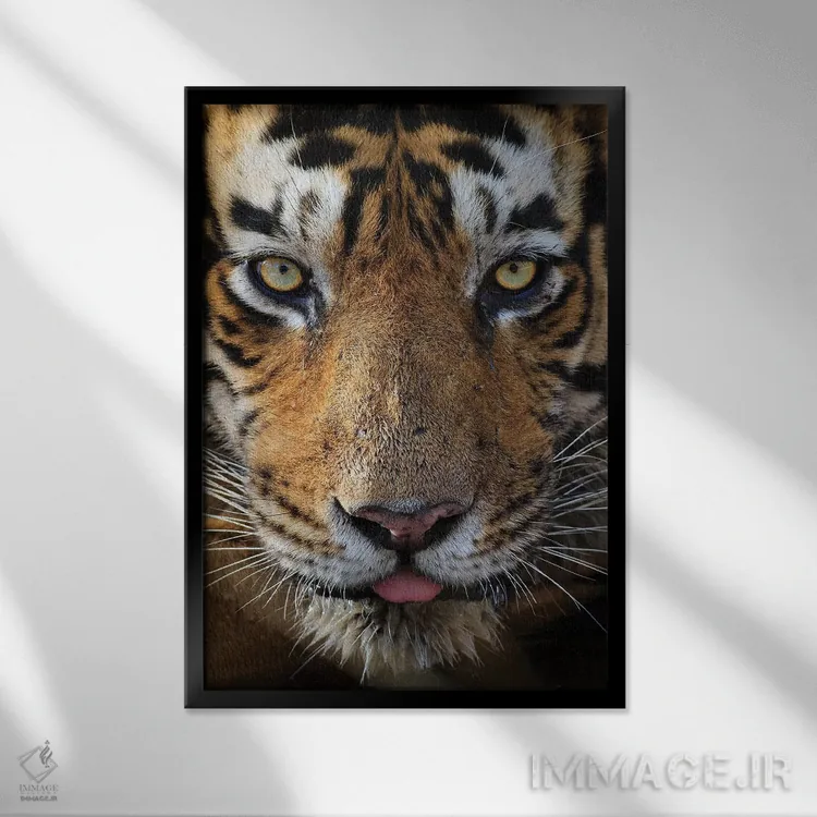 تابلو دکوراتیو تماس چشمی ببر اثر موگنس تروله - نمای قابدار مشکی
