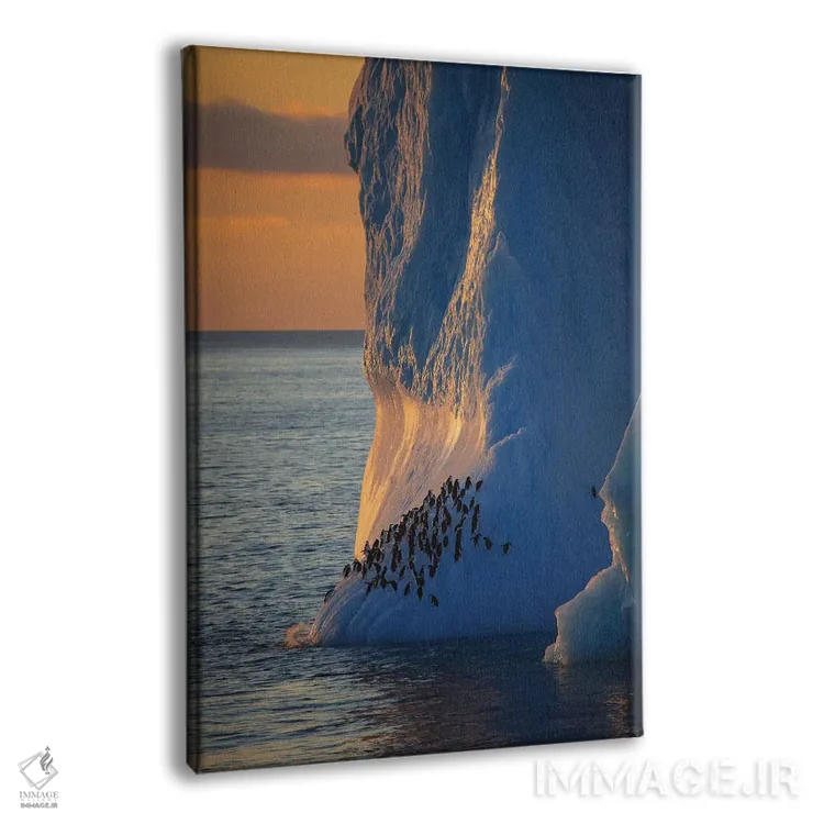 تابلو دکوراتیو پنگوئن های چانه بند روی برج یخی جنوبگان اثر موگنس تروله - نمای پرسپکتیو محصول