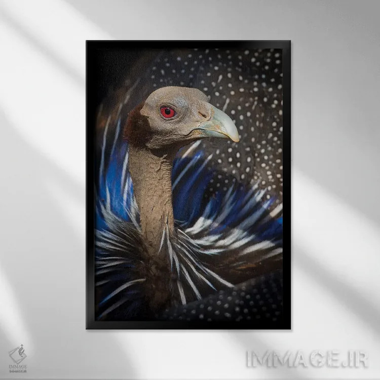 تابلو دکوراتیو مرغ مروارید کرکس نما اثر موگنس تروله - نمای قابدار مشکی
