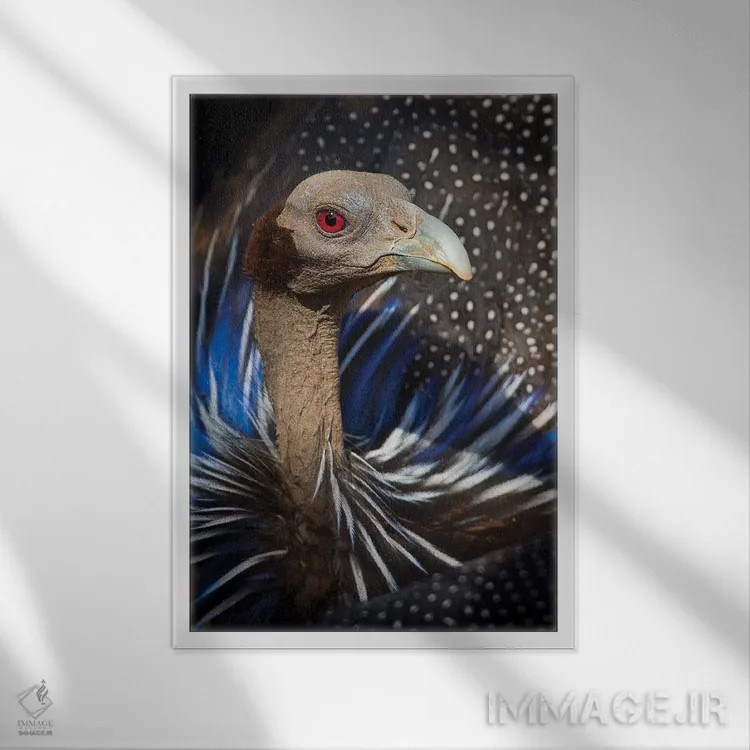 تابلو دکوراتیو مرغ مروارید کرکس نما اثر موگنس تروله - نمای قابدار سفید