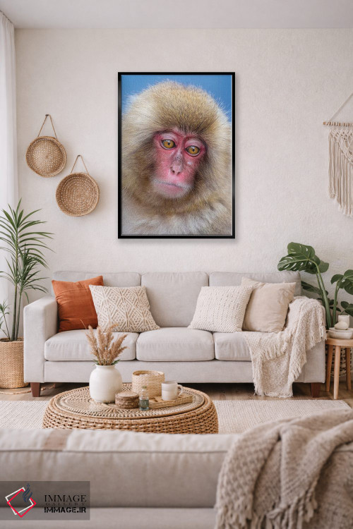 تابلو دکوراتیو پرتره نوجوان میمون برفی اثر موگنس تروله - D2B