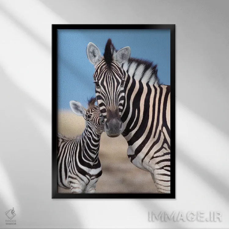 تابلو دکوراتیو مادر و کره گورخر اثر موگنس تروله - نمای قابدار مشکی