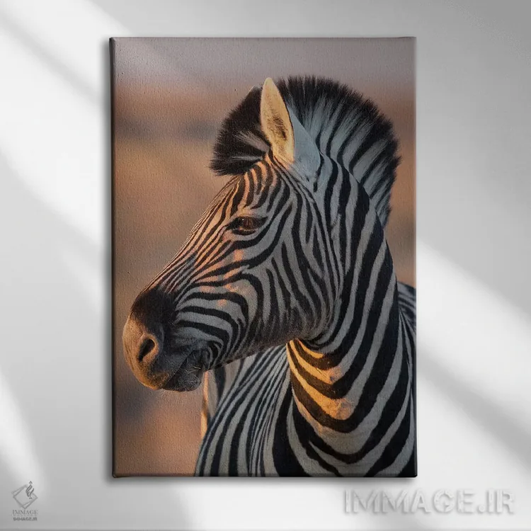 تابلو دکوراتیو گورخر نر در نور غروب اثر موگنس تروله - نمای روبهرو روی دیوار