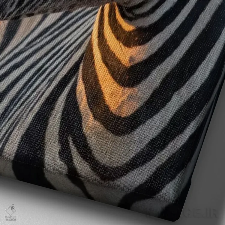 تابلو دکوراتیو گورخر نر در نور غروب اثر موگنس تروله - نمای نزدیک بافت بوم