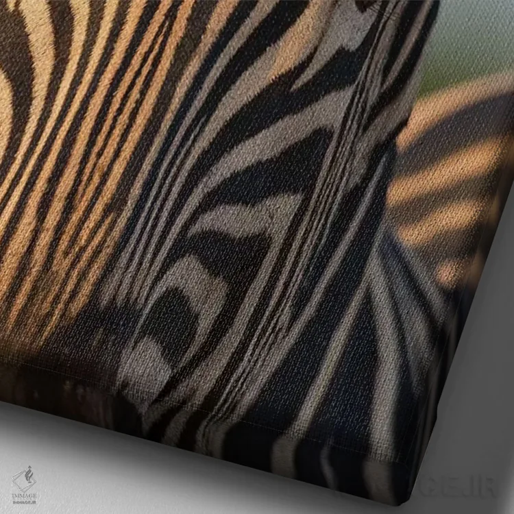 تابلو دکوراتیو الگوی صورت گورخر آفریقای جنوبی اثر موگنس تروله - نمای نزدیک بافت بوم