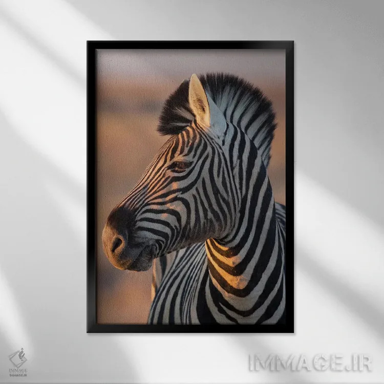 تابلو دکوراتیو گورخر نر در نور غروب اثر موگنس تروله - نمای قابدار مشکی