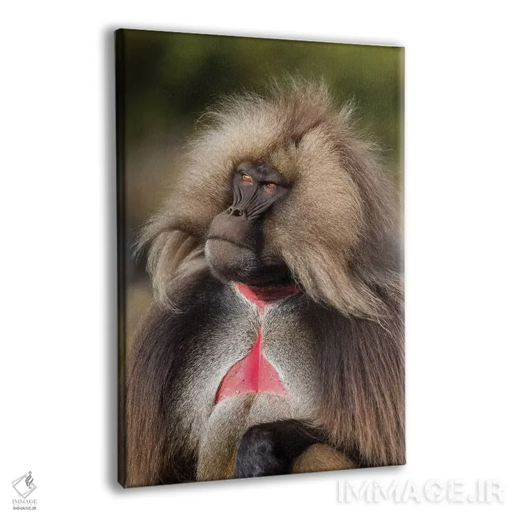 تابلو دکوراتیو گلادا نر سرگروه با قلب خونی اثر موگنس تروله - نمای پرسپکتیو محصول