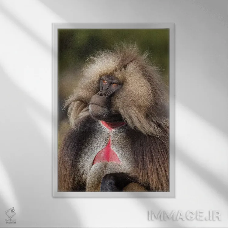 تابلو دکوراتیو گلادا نر سرگروه با قلب خونی اثر موگنس تروله - نمای قابدار سفید