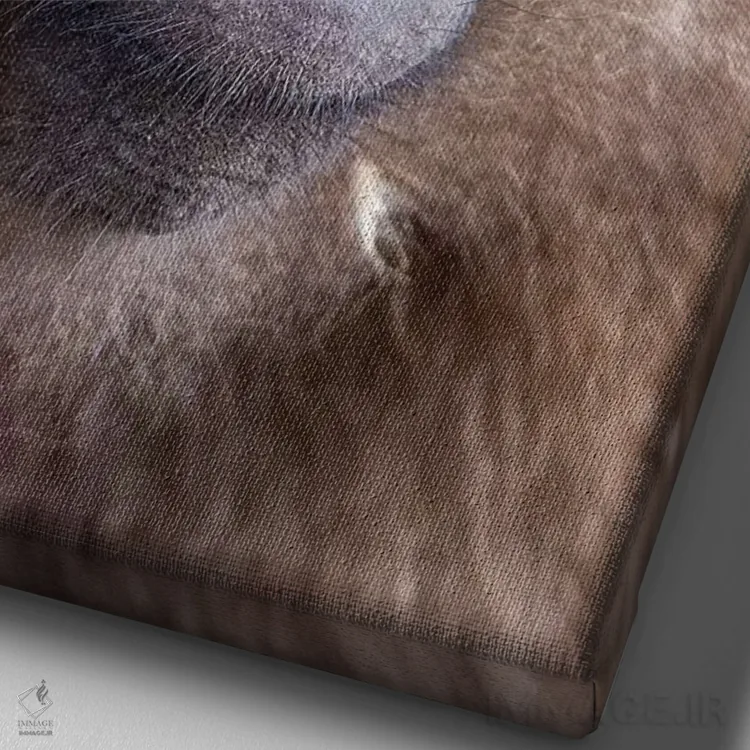 تابلو دکوراتیو اخم گلادای ماده اتیوپی اثر موگنس تروله - نمای نزدیک بافت بوم