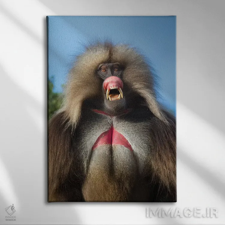 تابلو دکوراتیو گلادای تهدیدکننده صورتی اتیوپی اثر موگنس تروله - نمای روبهرو روی دیوار