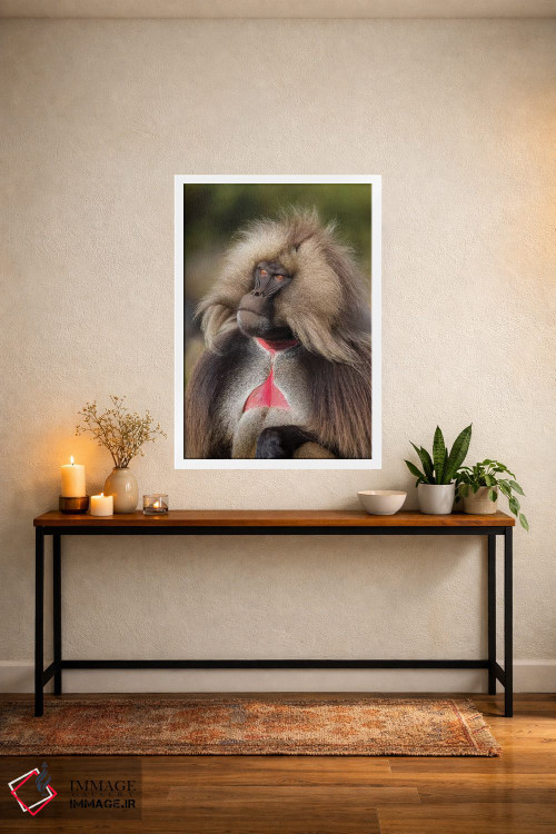 تابلو دکوراتیو گلادا نر سرگروه با قلب خونی اثر موگنس تروله - D3W