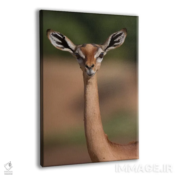 تابلو دکوراتیو جرنوک اثر موگنس تروله - نمای پرسپکتیو محصول