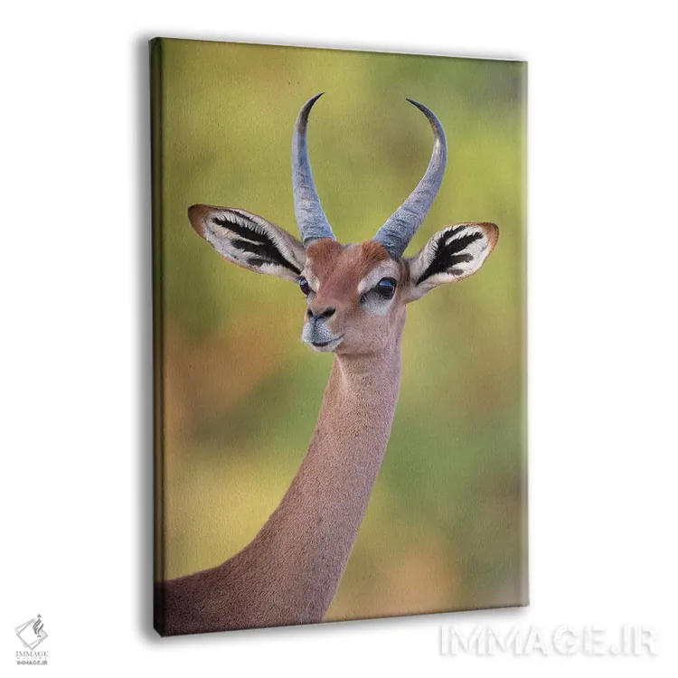 تابلو دکوراتیو پرتره جرنوک نر کنیا اثر موگنس تروله - نمای پرسپکتیو محصول