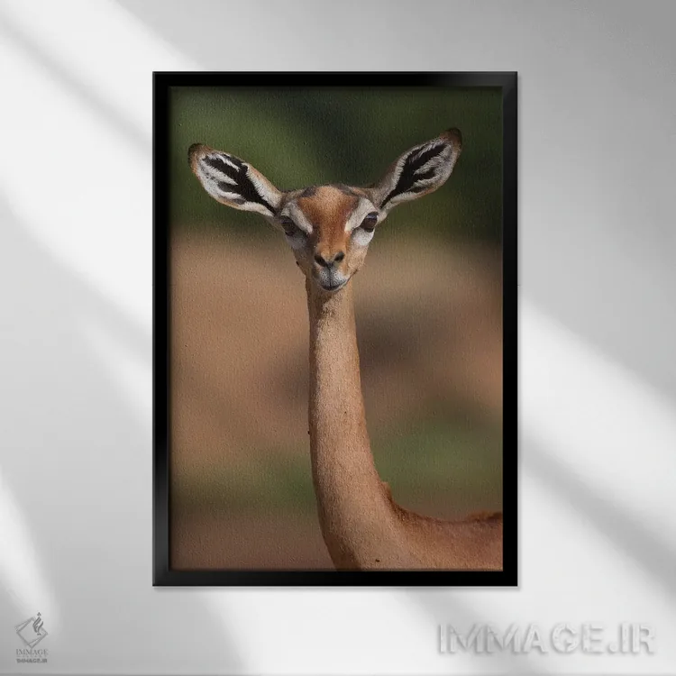 تابلو دکوراتیو جرنوک اثر موگنس تروله - نمای قابدار مشکی