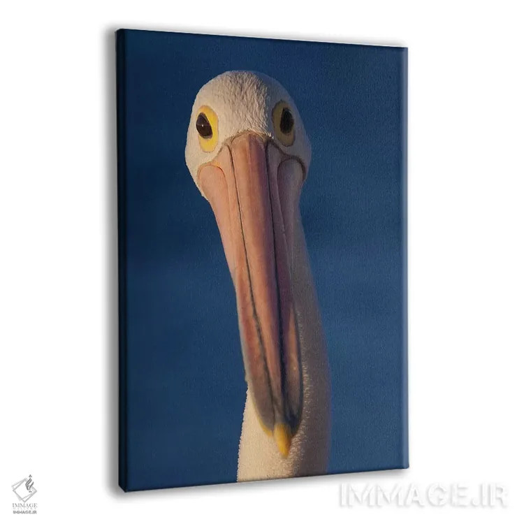 تابلو دکوراتیو پلیکانی استرالیایی اثر موگنس تروله - نمای پرسپکتیو محصول