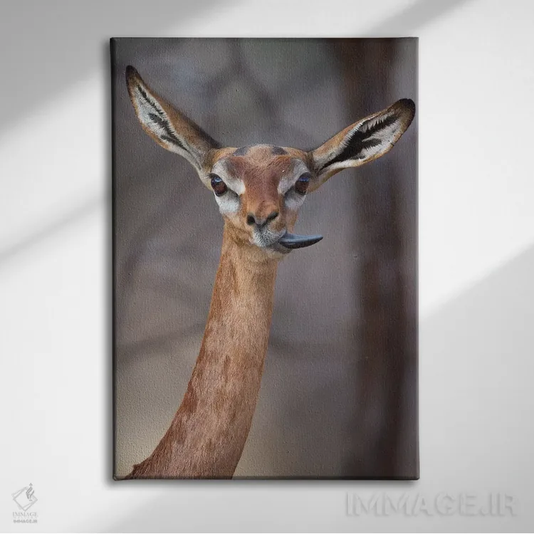 تابلو دکوراتیو جرنوک زبان باز اثر موگنس تروله - نمای روبهرو روی دیوار