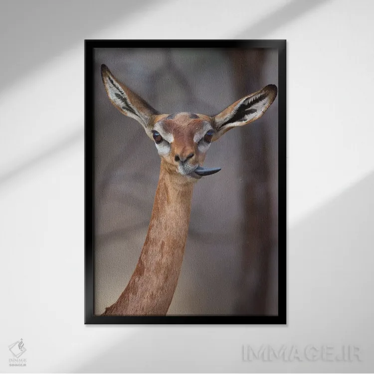 تابلو دکوراتیو جرنوک زبان باز اثر موگنس تروله - نمای قابدار مشکی