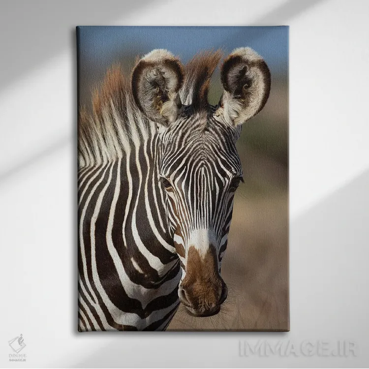 تابلو دکوراتیو پرتره گورخر گریوی اثر موگنس تروله - نمای روبهرو روی دیوار