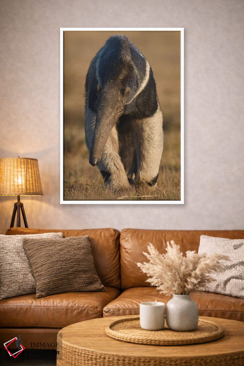 تابلو دکوراتیو مورچه خورک غول پیکر پانتانال اثر موگنس تروله - D3W